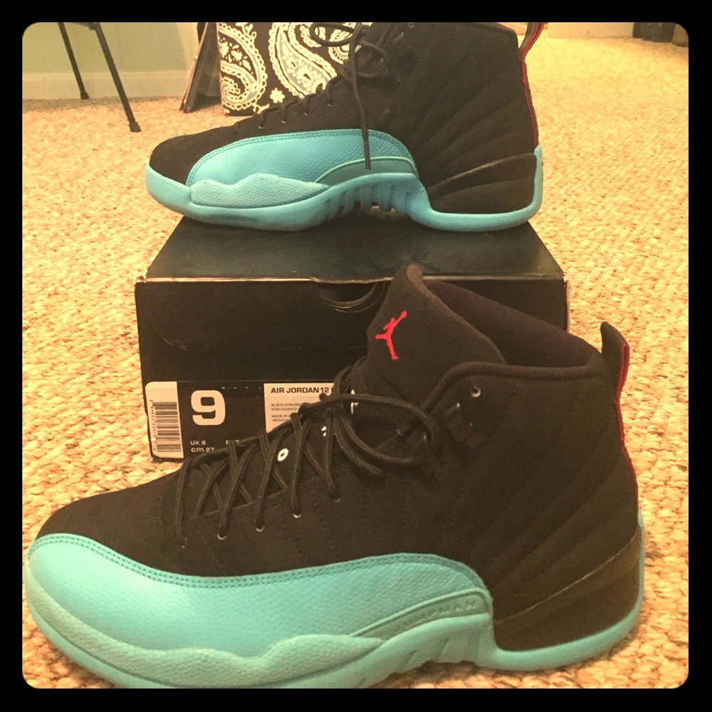 Air Jordan 12 retro