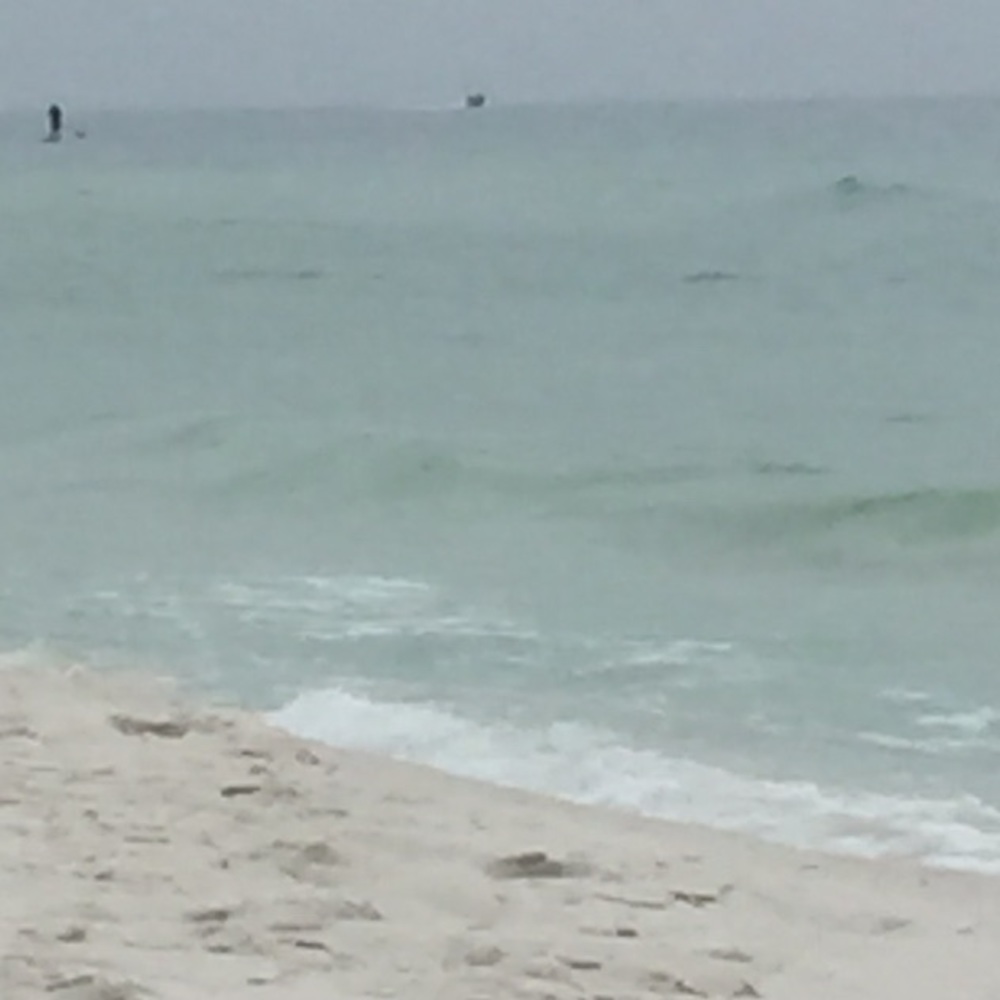 Meet your Posher, Kylie