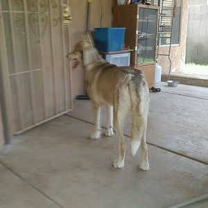 Meet your Posher, Mei hsueh