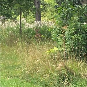 Meet your Posher, Madyson