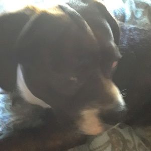 Meet your Posher, Brandon