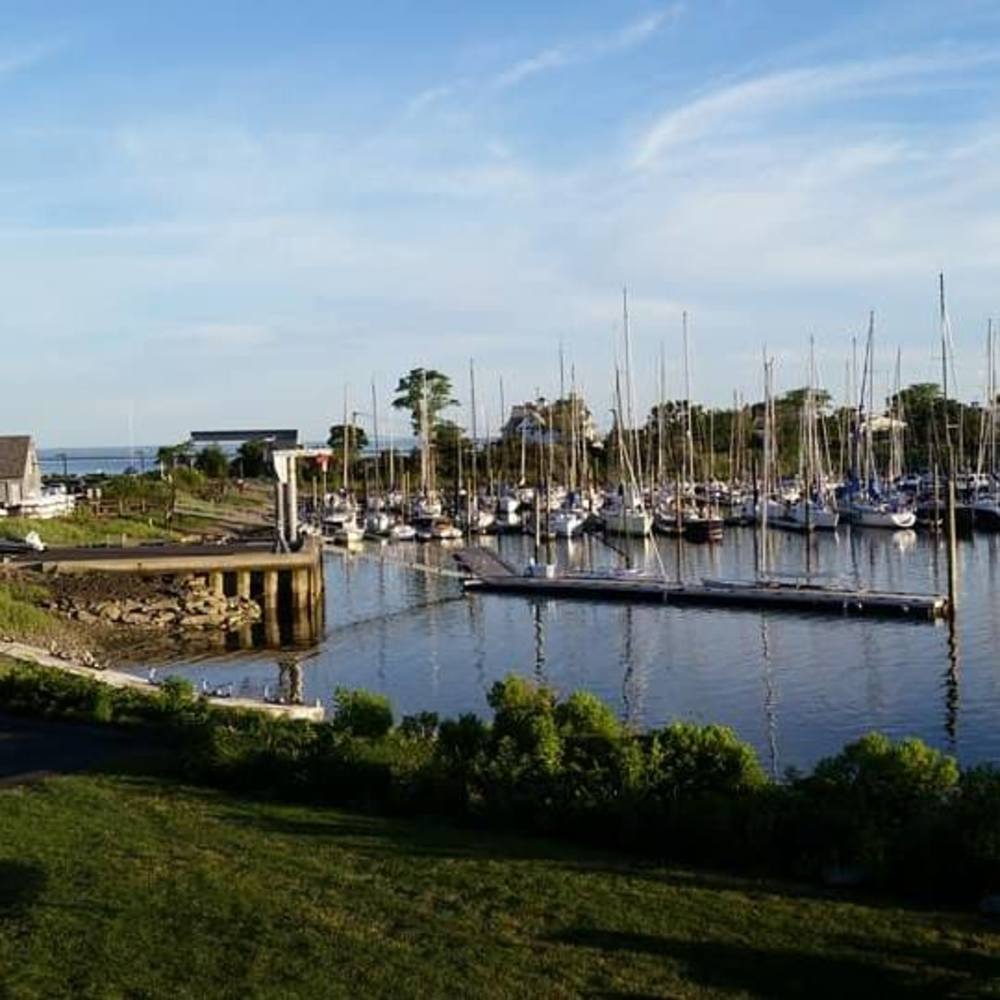 Meet your Posher, Brenda