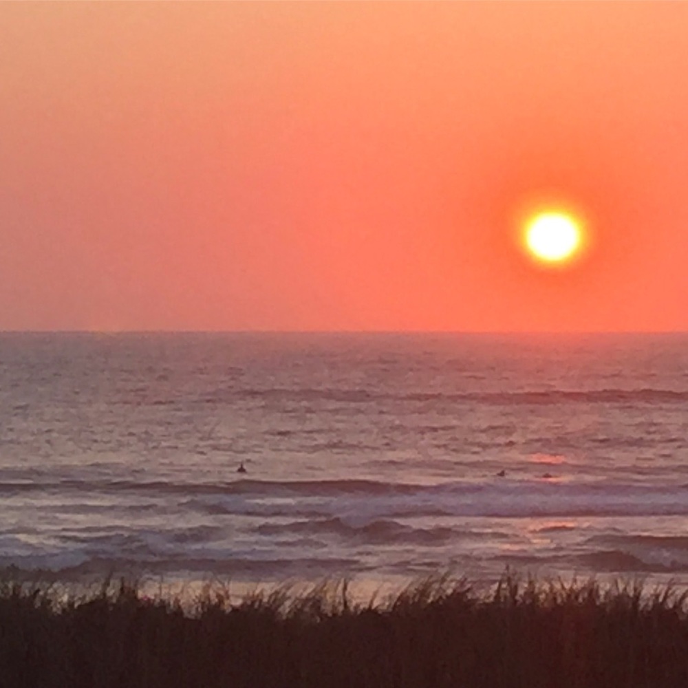 Meet your Posher, Rosemary