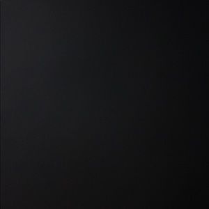 Meet your Posher, Bernie