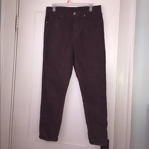 BDG twig corduroy pants in brown.