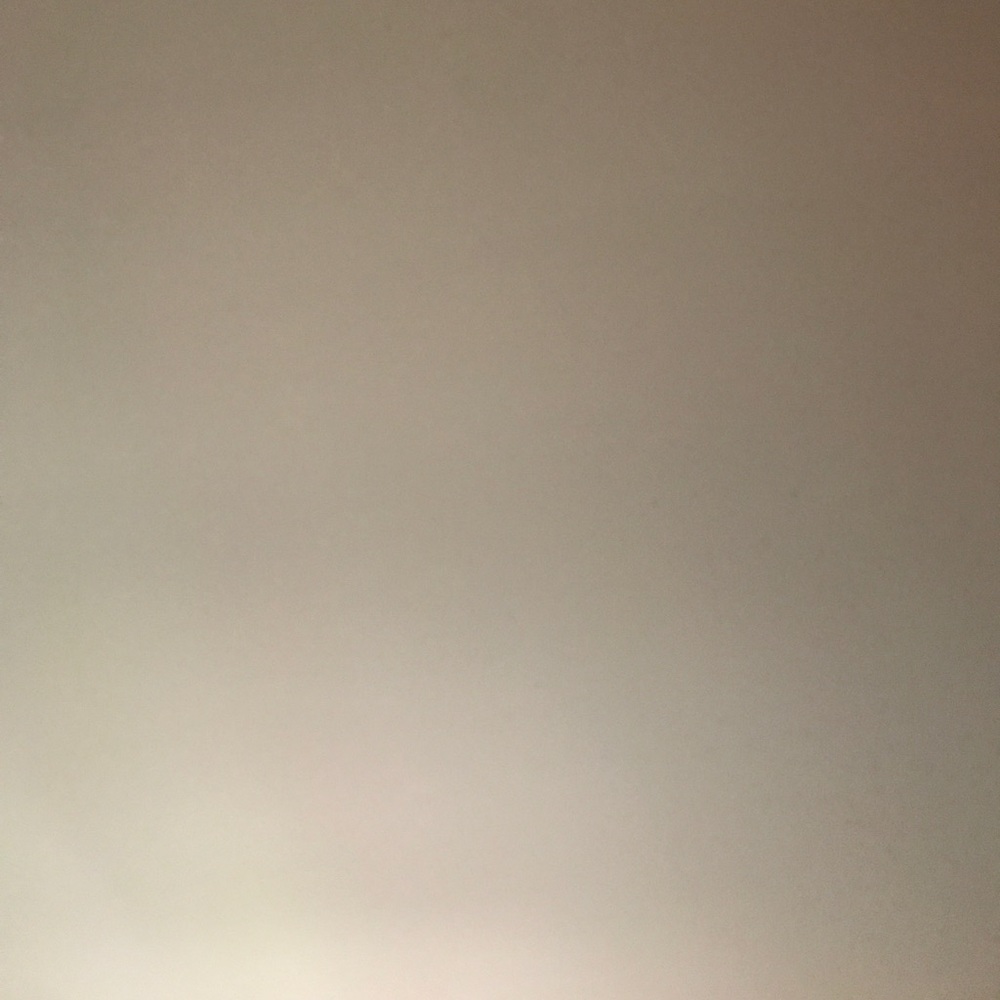 Meet your Posher, Bambi