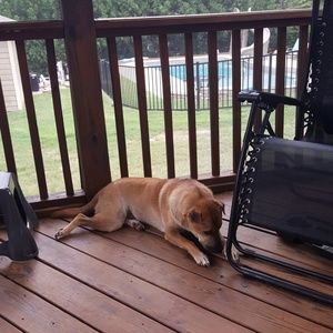 Meet your Posher, Bev