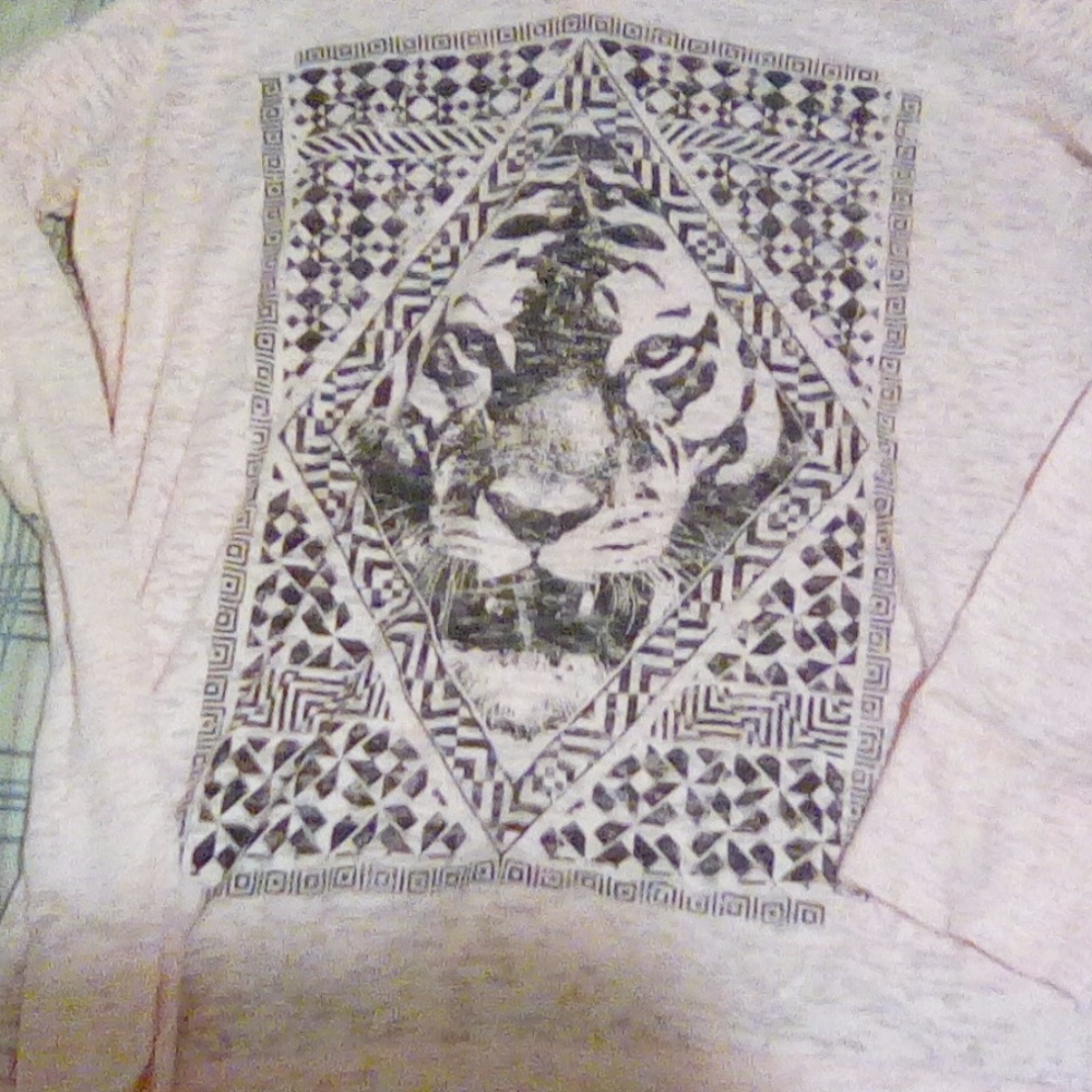 Tiger Hoodie