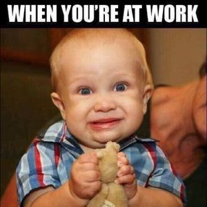 Meet your Posher, Paula