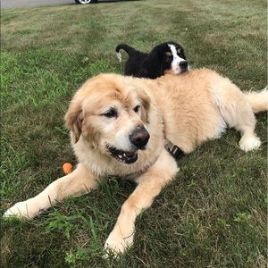 Meet your Posher, Kim