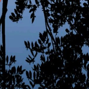 Meet your Posher, Akbar