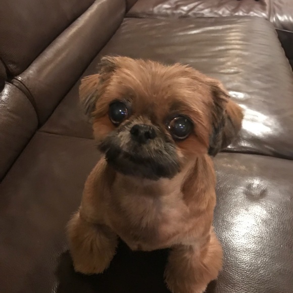 💋♥️MANY ITEMS BOGO!!♥️💋 - Picture 2 of 5