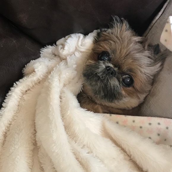 💋♥️MANY ITEMS BOGO!!♥️💋 - Picture 3 of 5