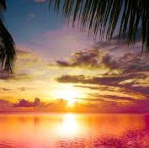 Meet your Posher, Candace