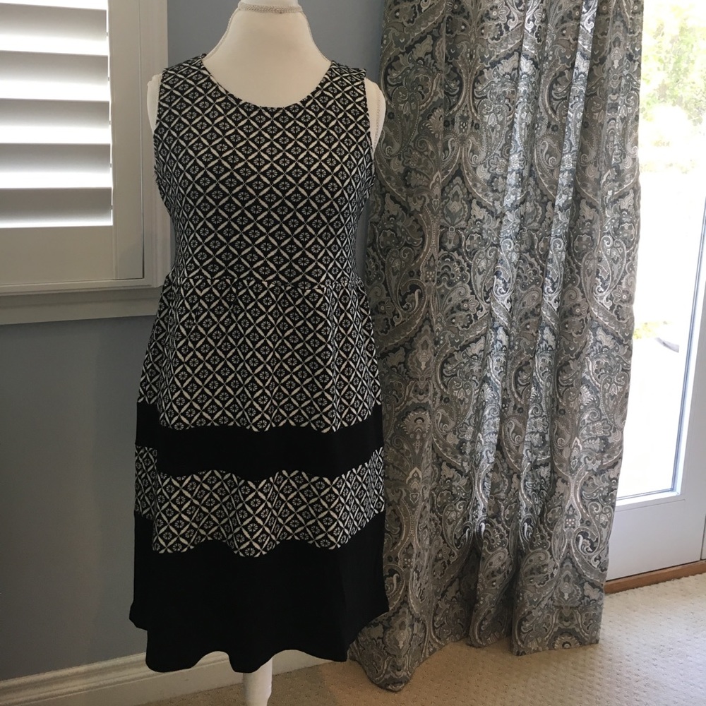 Adorable fit and flare black and white dress