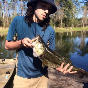 Meet your Posher, Drew