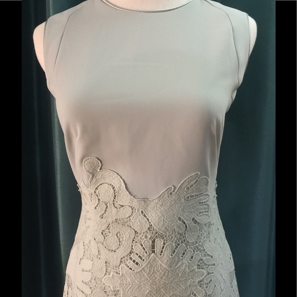 Reiss sage green classy lace dress. - Picture 2 of 4