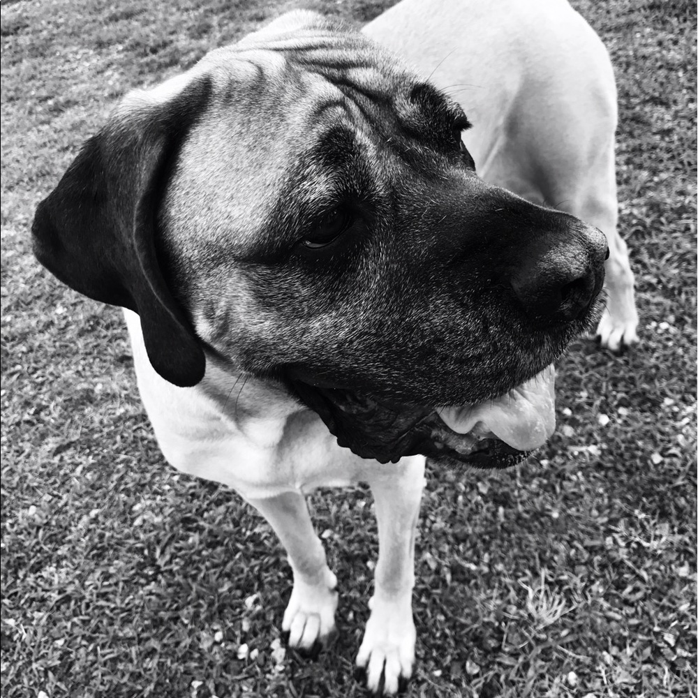 Meet your Posher, Olivia