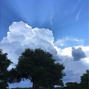 Meet your Posher, Charles