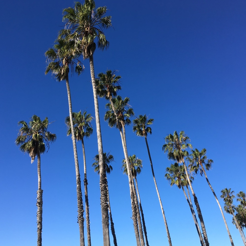 Meet the Posher! 🛍