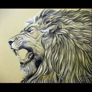 Meet your Posher, Onik