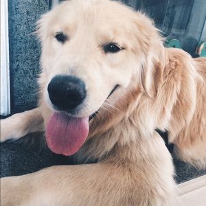 Meet your Posher, Emerson