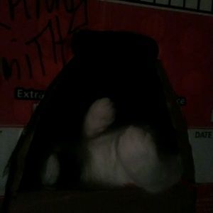 Meet your Posher, Gloria