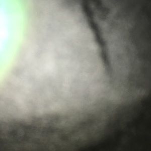 Meet your Posher, Jack