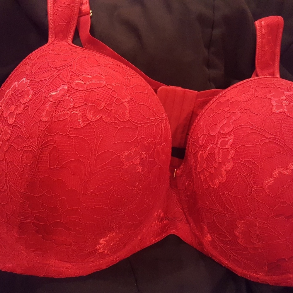 Ashley Stewart Butterfly Bra Plunge 42G