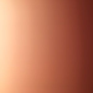 Meet your Posher, Ken