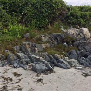 Meet your Posher, Ella