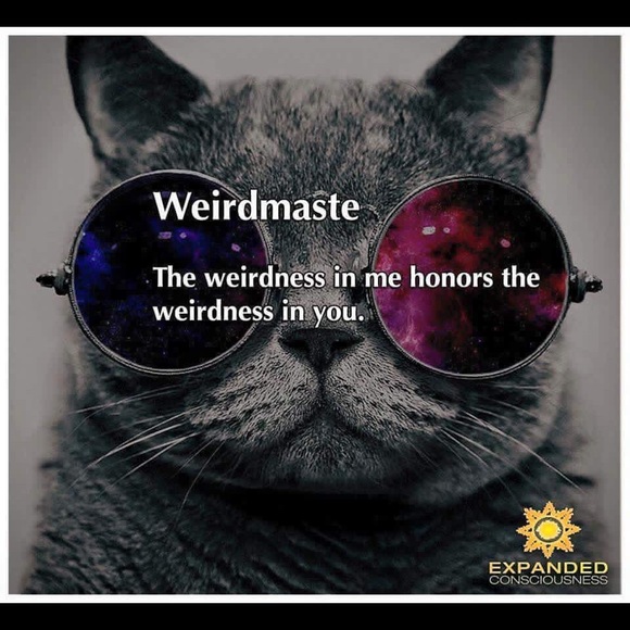 Meet your Posher, Melanie - Picture 3 of 11