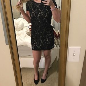 Loft Lace Dress