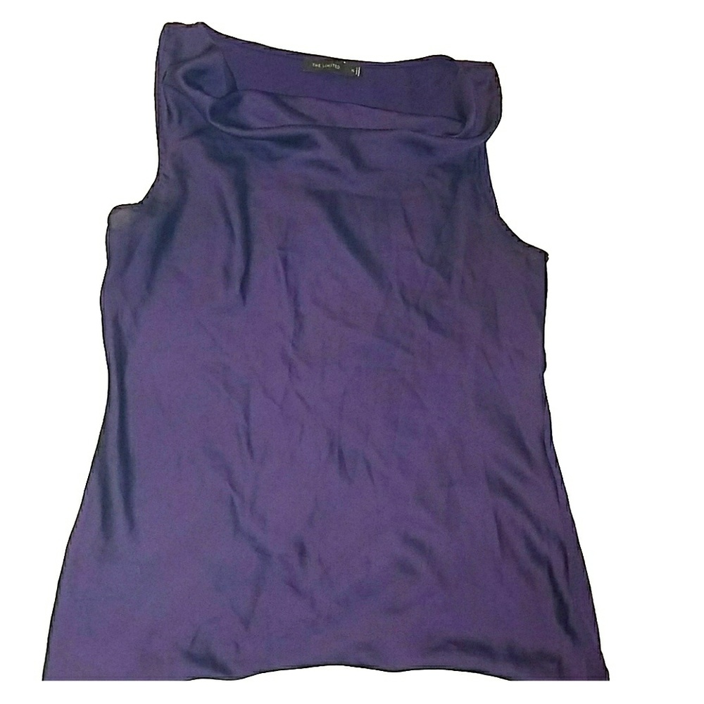 The Limited Sleeveless Dress Top
