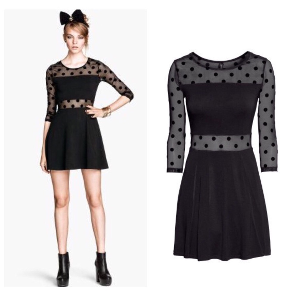 H&M Mesh Polka Dot Skater Dress