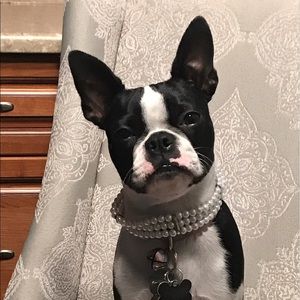 Meet your Posher, Michelle