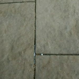 Meet your Posher, Kimmy