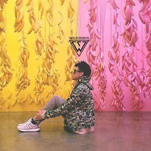 Meet your Posher, Wilson