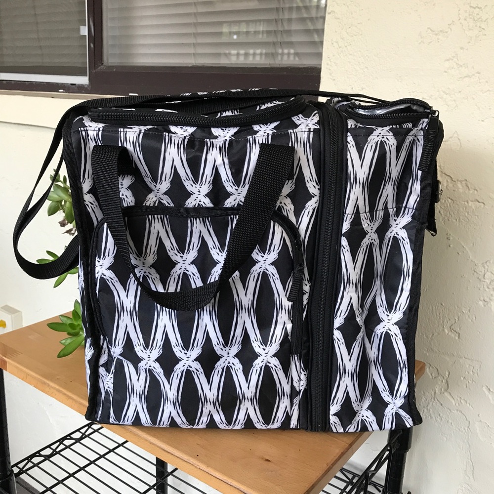 Thirty-One Black Links On the Double Insulated Set
