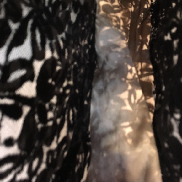 Black Tan Ann Taylor Loft Size 0 Dress - Picture 3 of 6