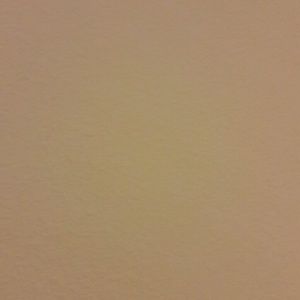 Meet your Posher, Tamara