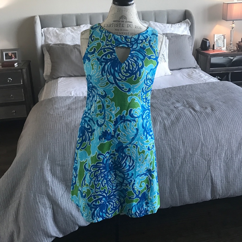 **SUMMER SALE**NWT Taylor Dress from Saks