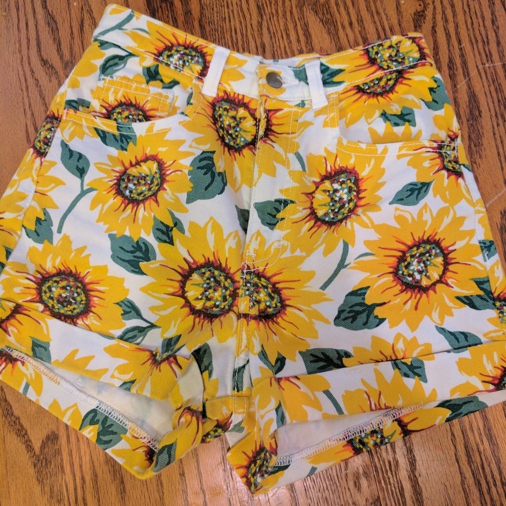 American apparel shorts