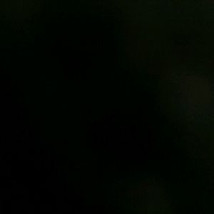 Meet your Posher, Rubi