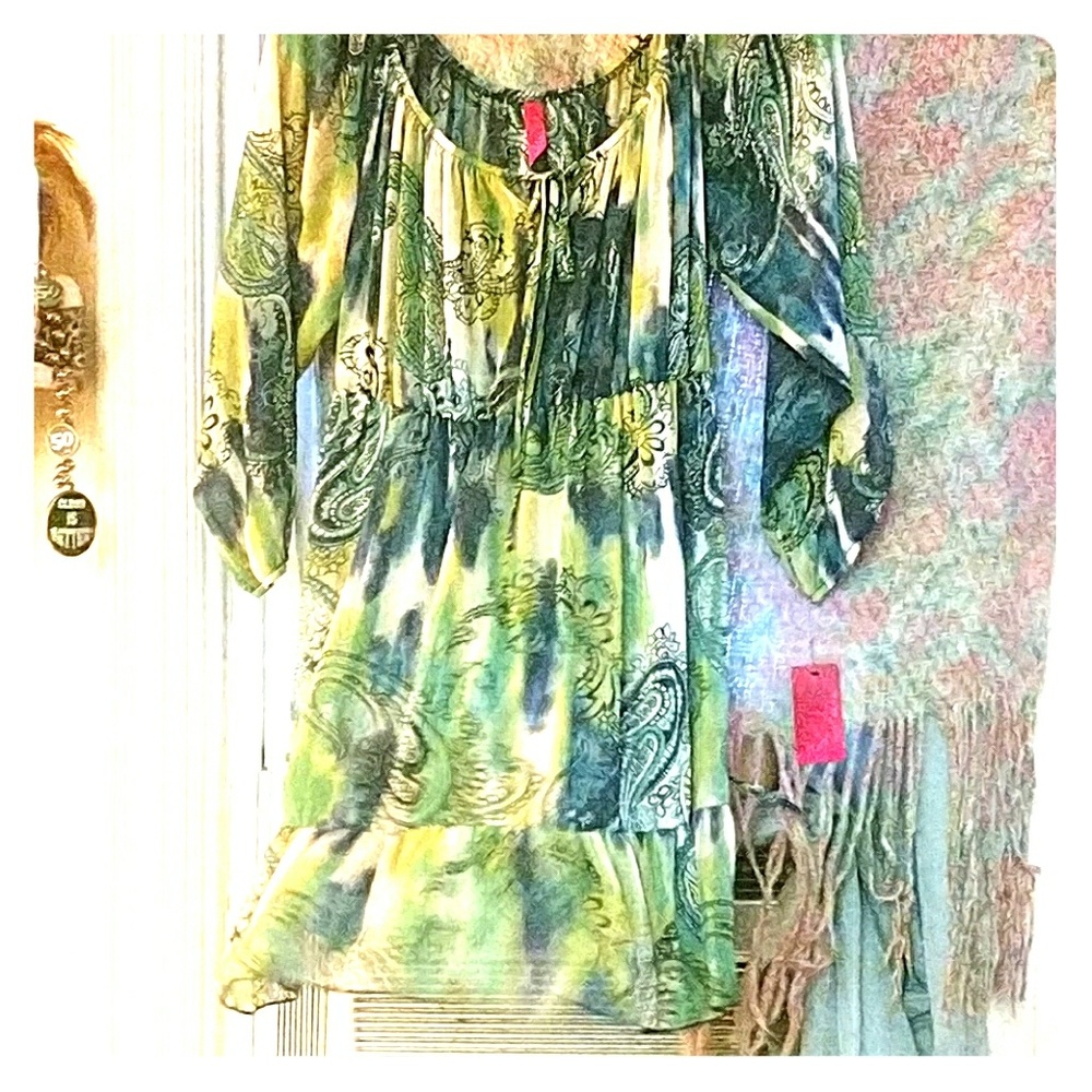 Green, blue, black and white Paisley sheer dress