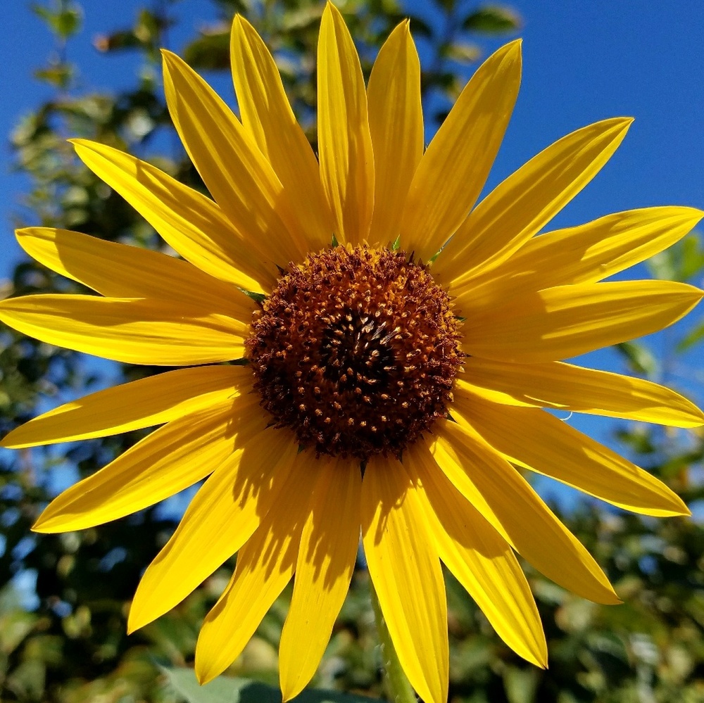 Meet your Posher, Patricia