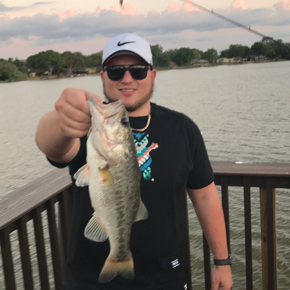 Meet your Posher, Rocco - Picture 1 of 1