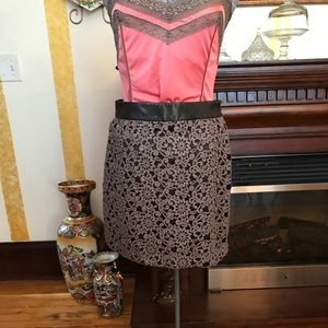 Cynthia Steefe skirt in embroidered brown size 6