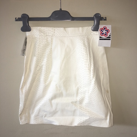 American Apparel Dresses & Skirts - American Apparel Snakeskin Leather Mini Skirt