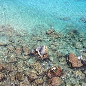 Meet your Posher, Paloma